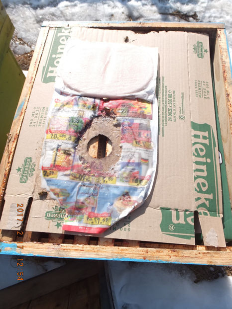 DSCF5498 - Albinute 2017- Reintregirea armatei