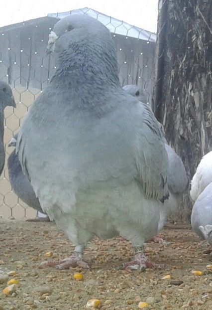 20170226_074012-1-2 - Contact