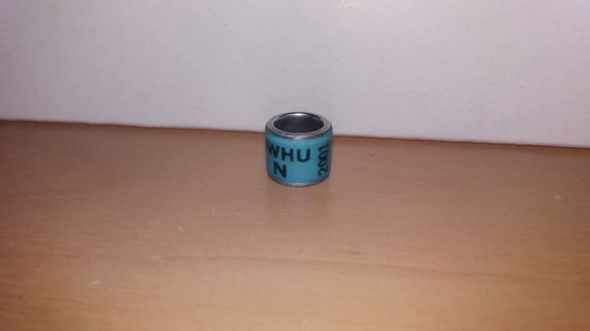  - North West Homing Union - 14 piese