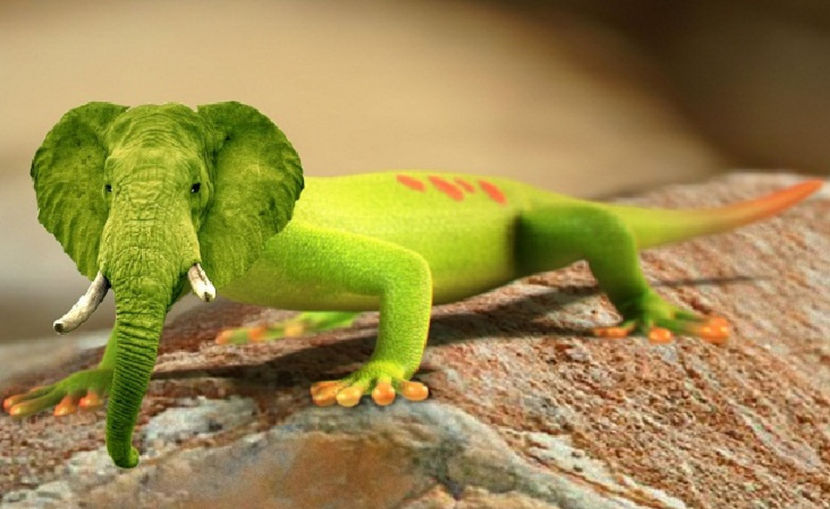 ce-i Dorele? ce te uiți așa mirat?!... - NATURA ȘI SURPRIZELE EI