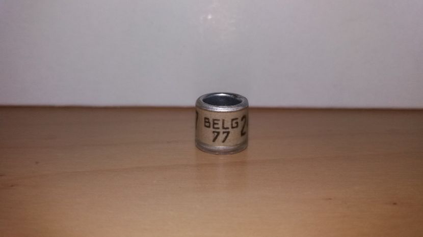  - Inele Belgia 55 piese