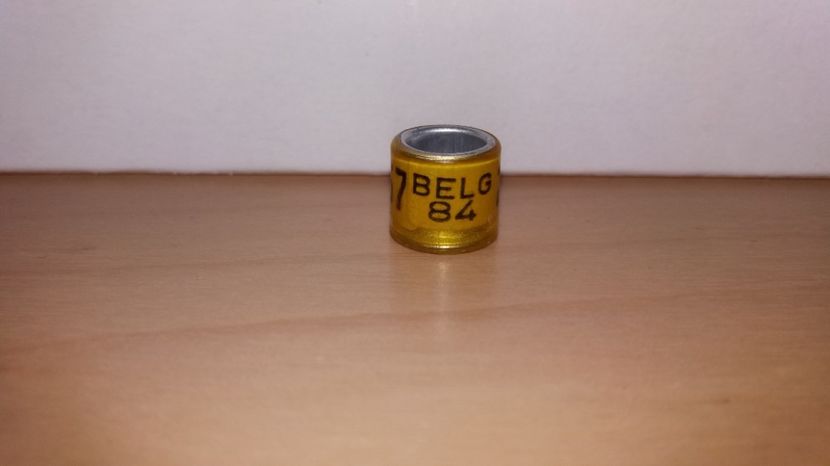  - Inele Belgia 55 piese