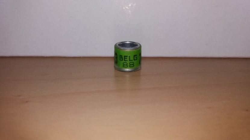  - Inele Belgia 55 piese