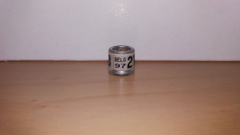 - Inele Belgia 55 piese