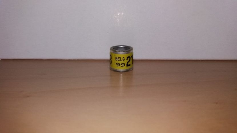  - Inele Belgia 55 piese