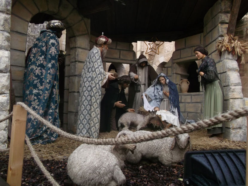 tara sfanta 640 - a patra zi de pelerinaj