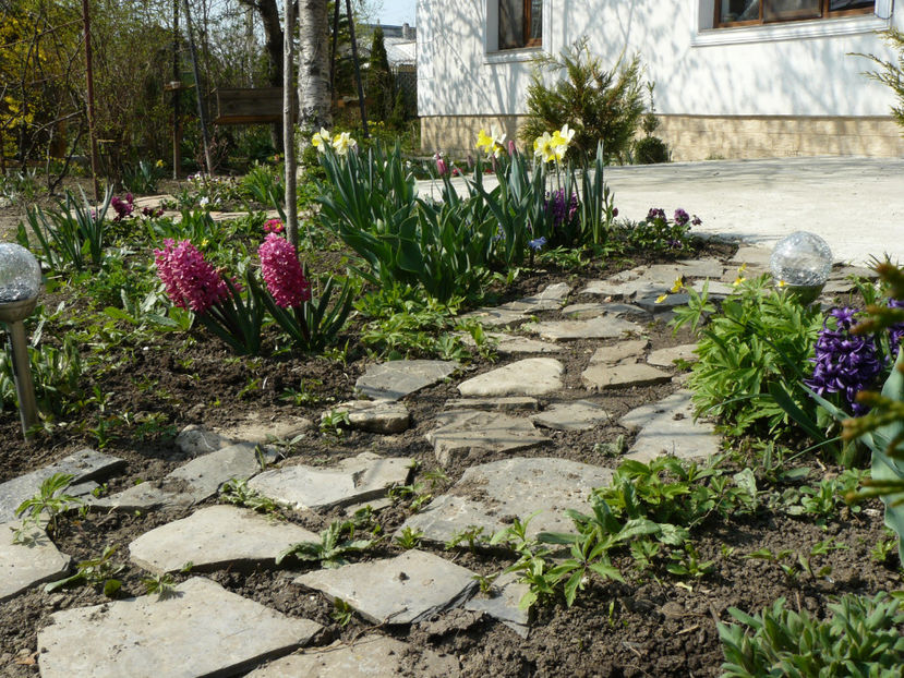 P1240571 - 2017_Martie_Gradina Rozelor