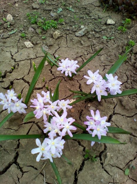  - curtea cu toate cele 2017