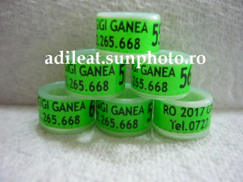 P1120859 - 1-A-INELE PERSONALIZATE 2017