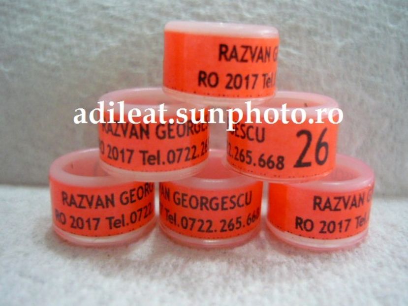 P1120860 - 1-A-INELE PERSONALIZATE 2017