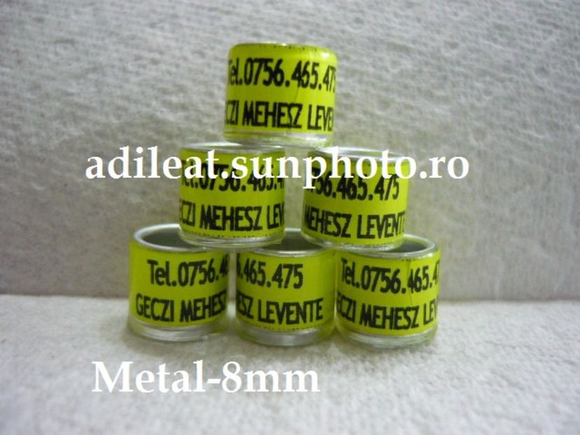 P1120863 - 1-A-INELE PERSONALIZATE 2017