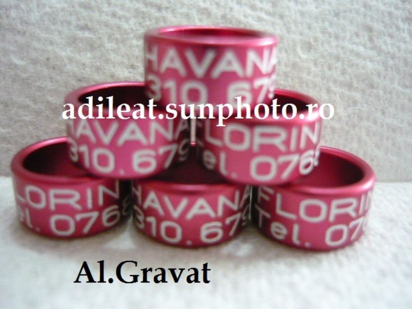 P1120867 - 1-A-INELE PERSONALIZATE 2017