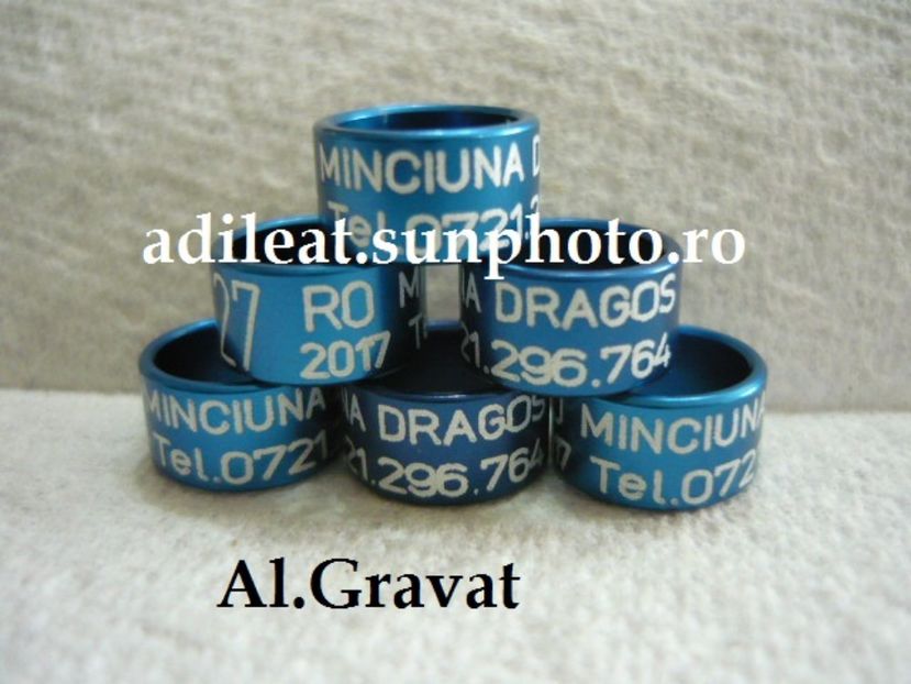 P1120868 - 1-A-INELE PERSONALIZATE 2017