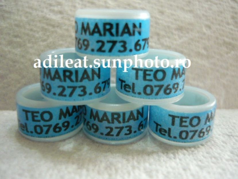 P1120870 - 1-A-INELE PERSONALIZATE 2017