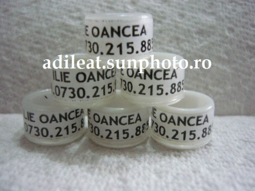 P1120876 - 1-A-INELE PERSONALIZATE 2017