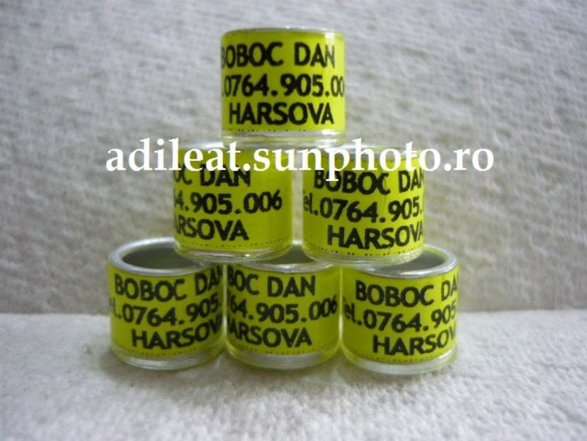 P1120879 - 1-A-INELE PERSONALIZATE 2017