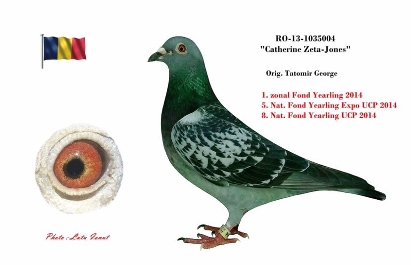 1035004.13 F- Loc 5 Fond y expo 2014, loc 8 nat. Fond y 2014 - Perechea 10 2017