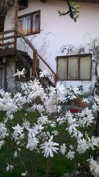  - 2017 Gradina