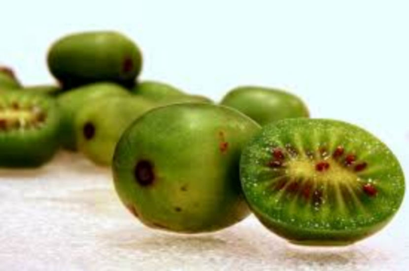Kiwi 4 - Kiwi Soiul - Kalomikta