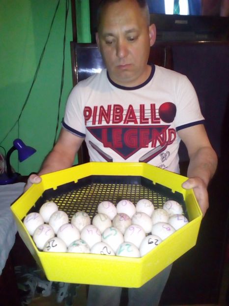  - oua rate de rouen la incubator