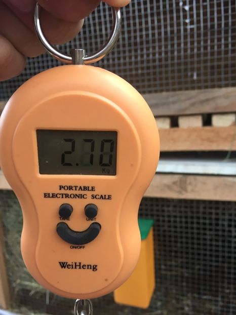 image - Cuib 1 din 23 Ian 2017