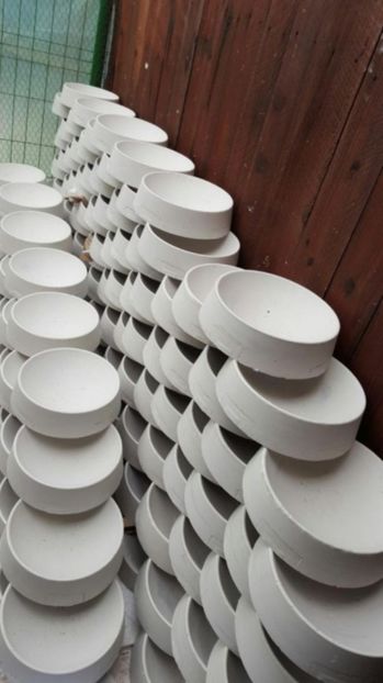 temp0 - vanzare CUIBARE ipsos