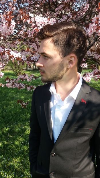  - Primavara lui 2017