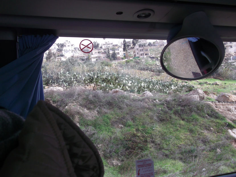 cactusii cresc precum buruienile....:)) - a cincea zi de pelerinaj