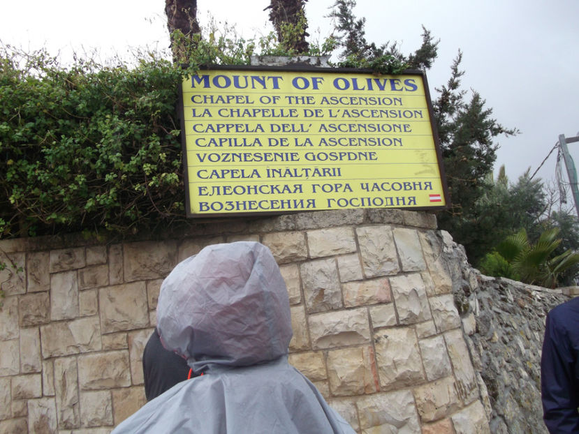 tara sfanta 675 - a cincea zi de pelerinaj