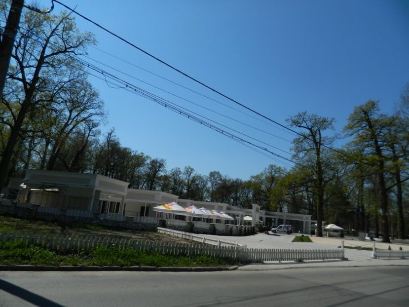  - 2017 LA PADURE TIMISOARA