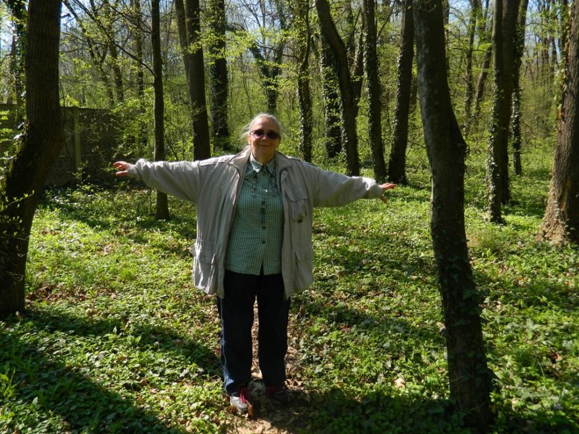  - 2017 LA PADURE TIMISOARA