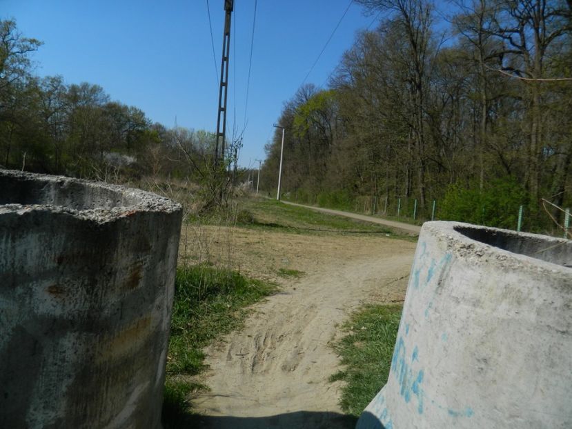  - 2017 LA PADURE TIMISOARA