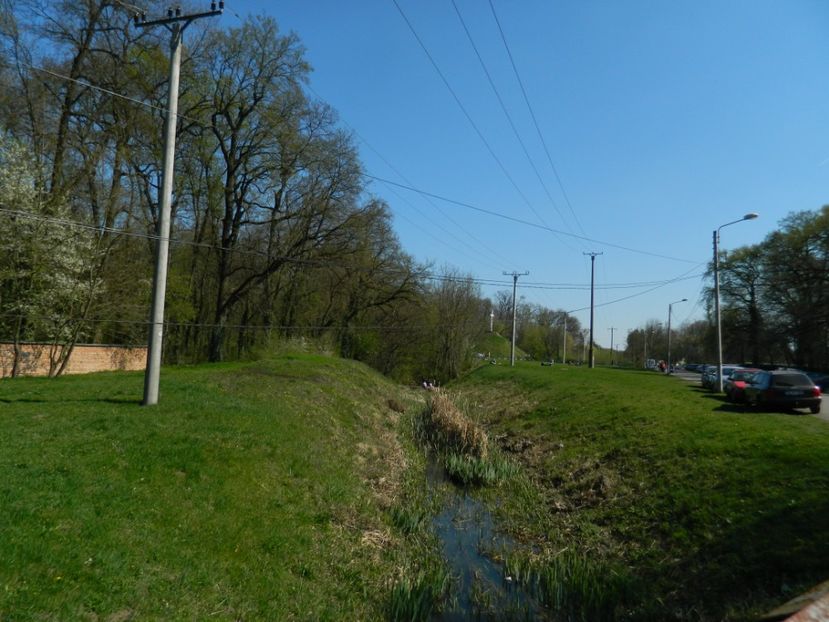  - 2017 LA PADURE TIMISOARA