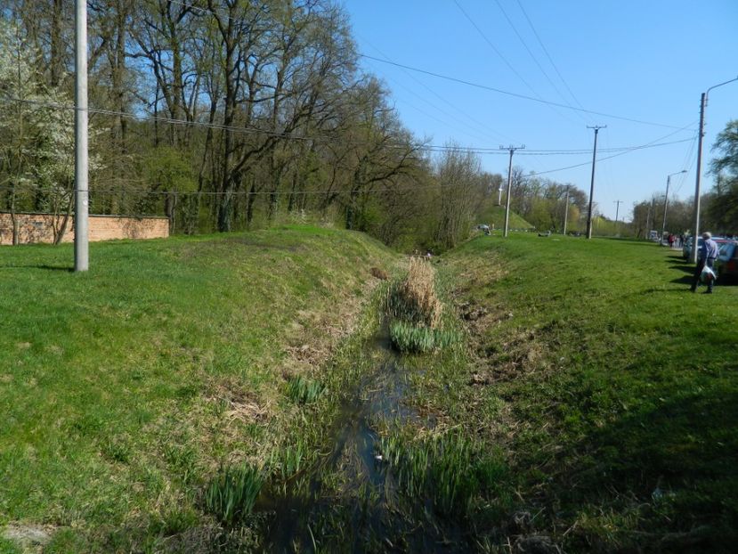  - 2017 LA PADURE TIMISOARA