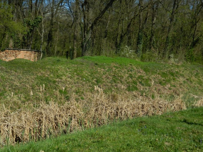  - 2017 LA PADURE TIMISOARA