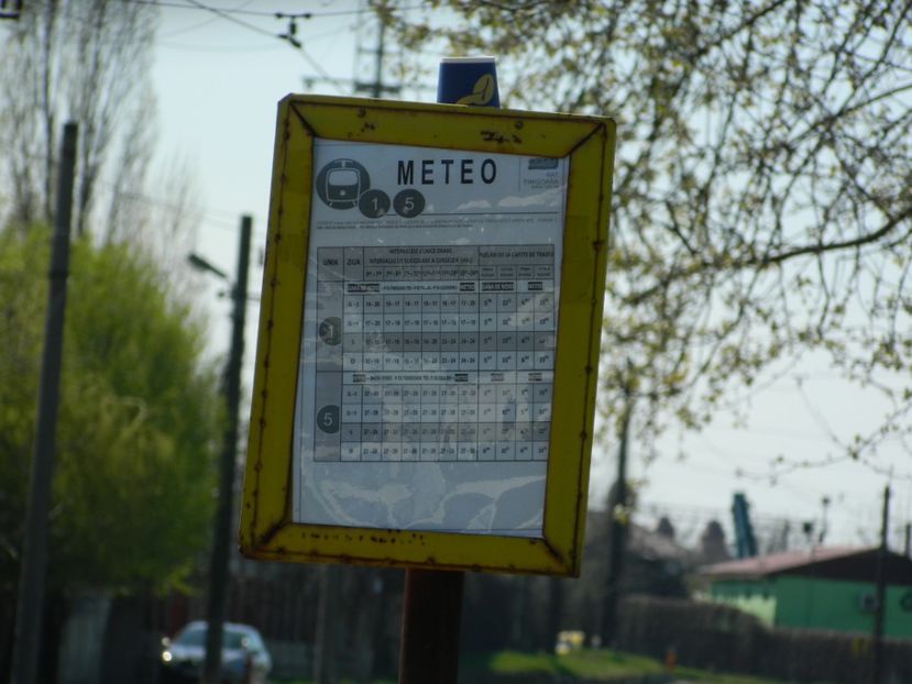  - 2017 LA PADURE TIMISOARA