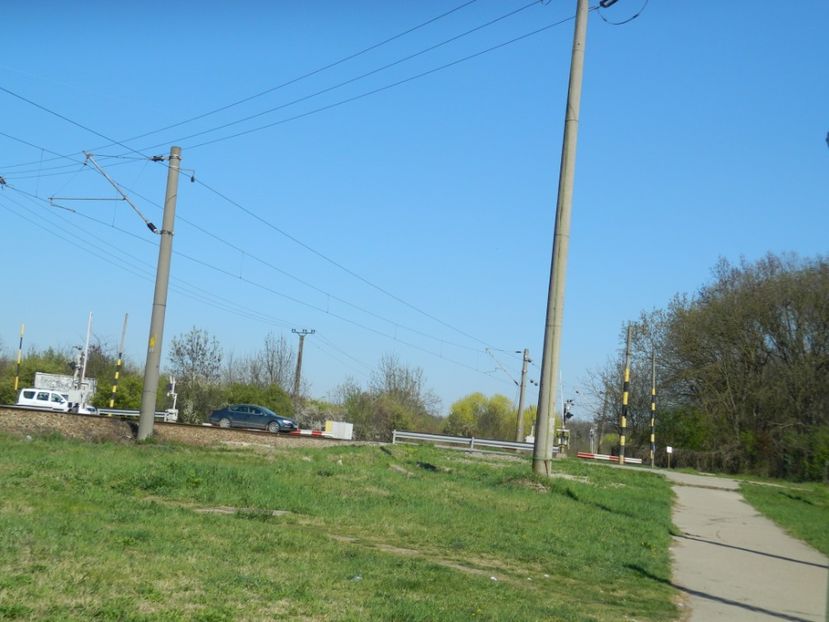  - 2017 LA PADURE TIMISOARA