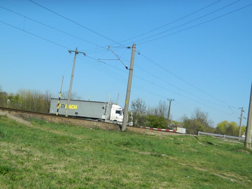  - 2017 LA PADURE TIMISOARA