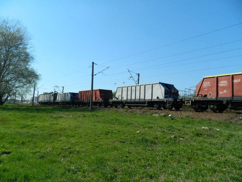  - 2017 LA PADURE TIMISOARA