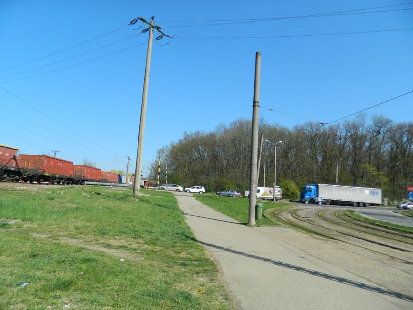  - 2017 LA PADURE TIMISOARA