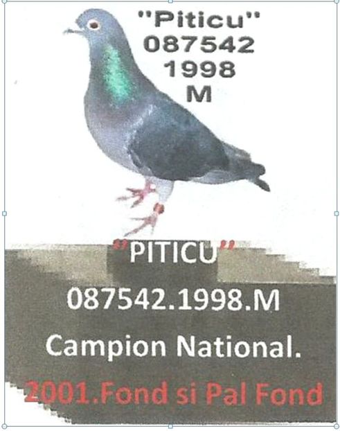 PITICU - 1 2001 CAMPION NATIONAL FOND LOC 1 nat PAL FOND LOC 1 nat