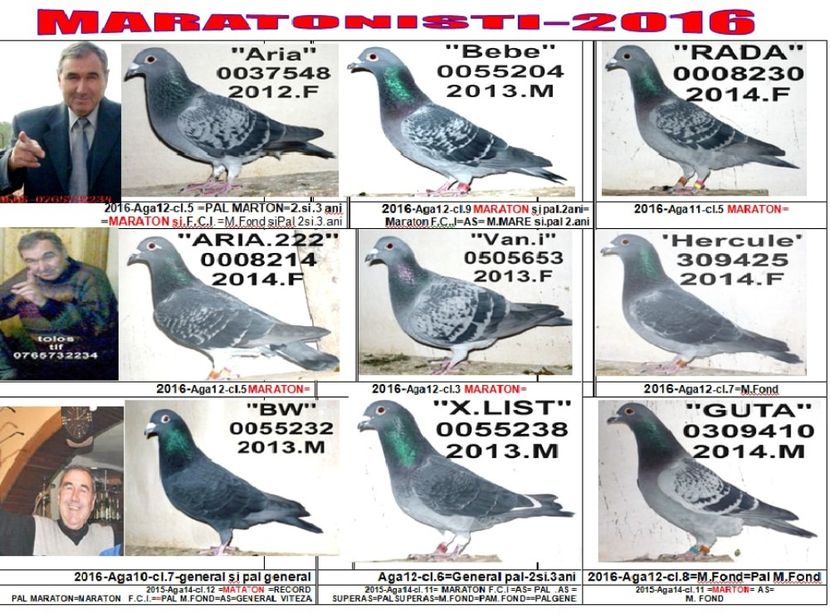 MARATONISTI .2016 - 1 2001 CAMPION NATIONAL FOND LOC 1 nat PAL FOND LOC 1 nat