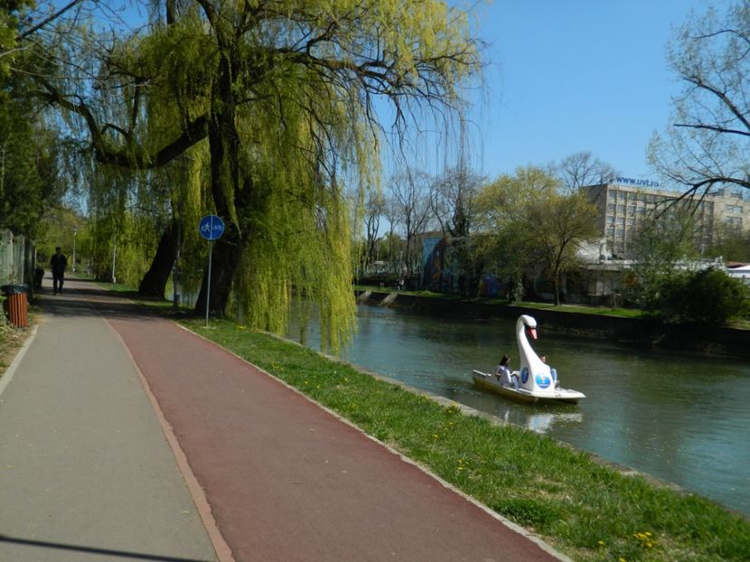  - 2017 TIMISOARA PRIMAVARA