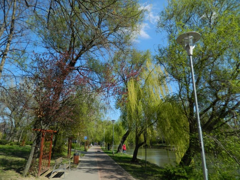  - 2017 TIMISOARA PRIMAVARA