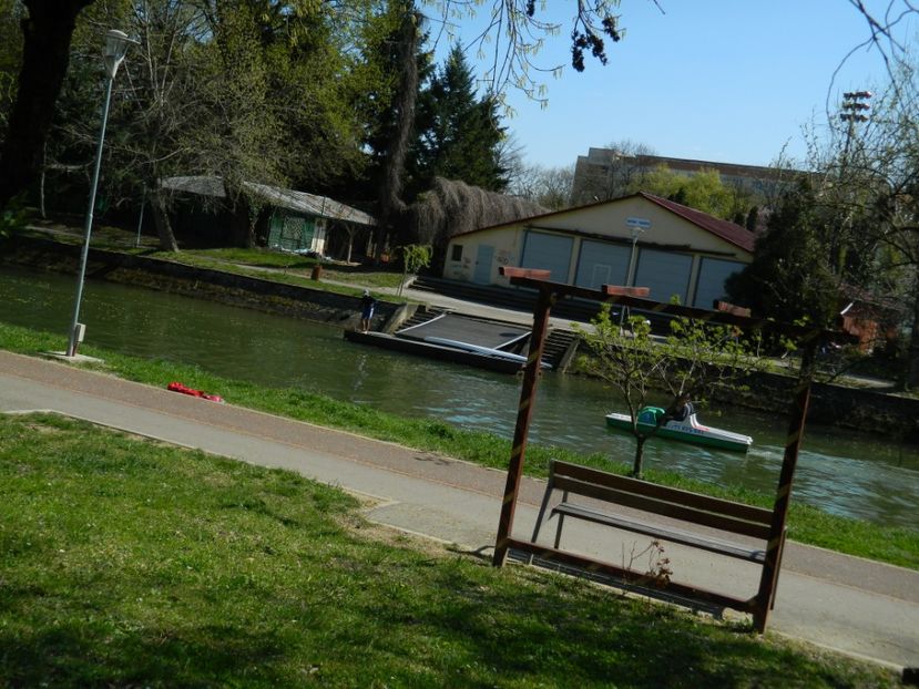  - 2017 TIMISOARA PRIMAVARA