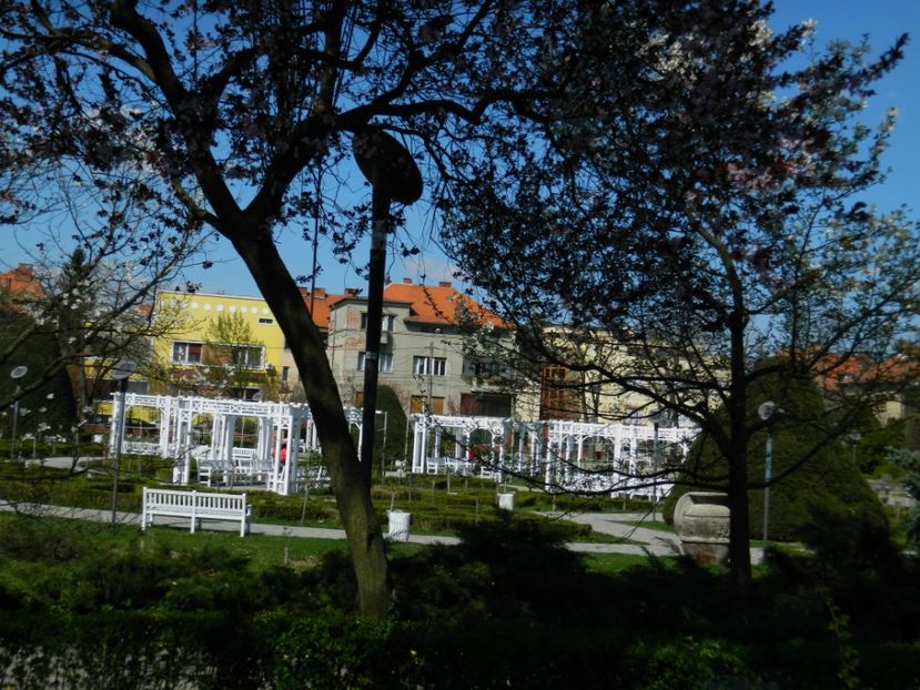  - 2017 TIMISOARA PRIMAVARA