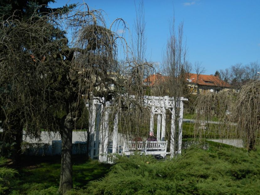  - 2017 TIMISOARA PRIMAVARA