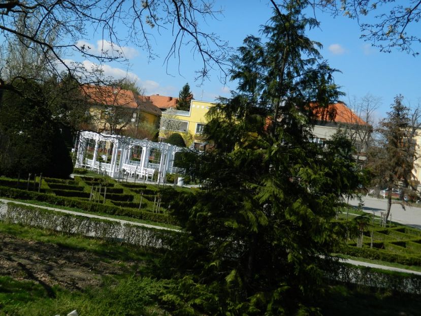  - 2017 TIMISOARA PRIMAVARA