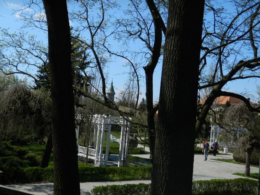  - 2017 TIMISOARA PRIMAVARA