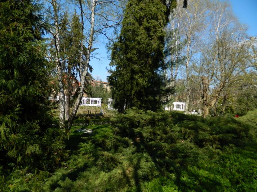  - 2017 TIMISOARA PRIMAVARA